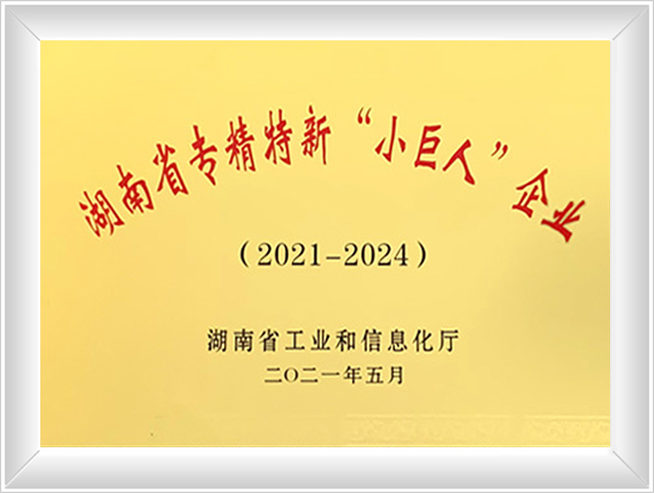 专精特新小巨人